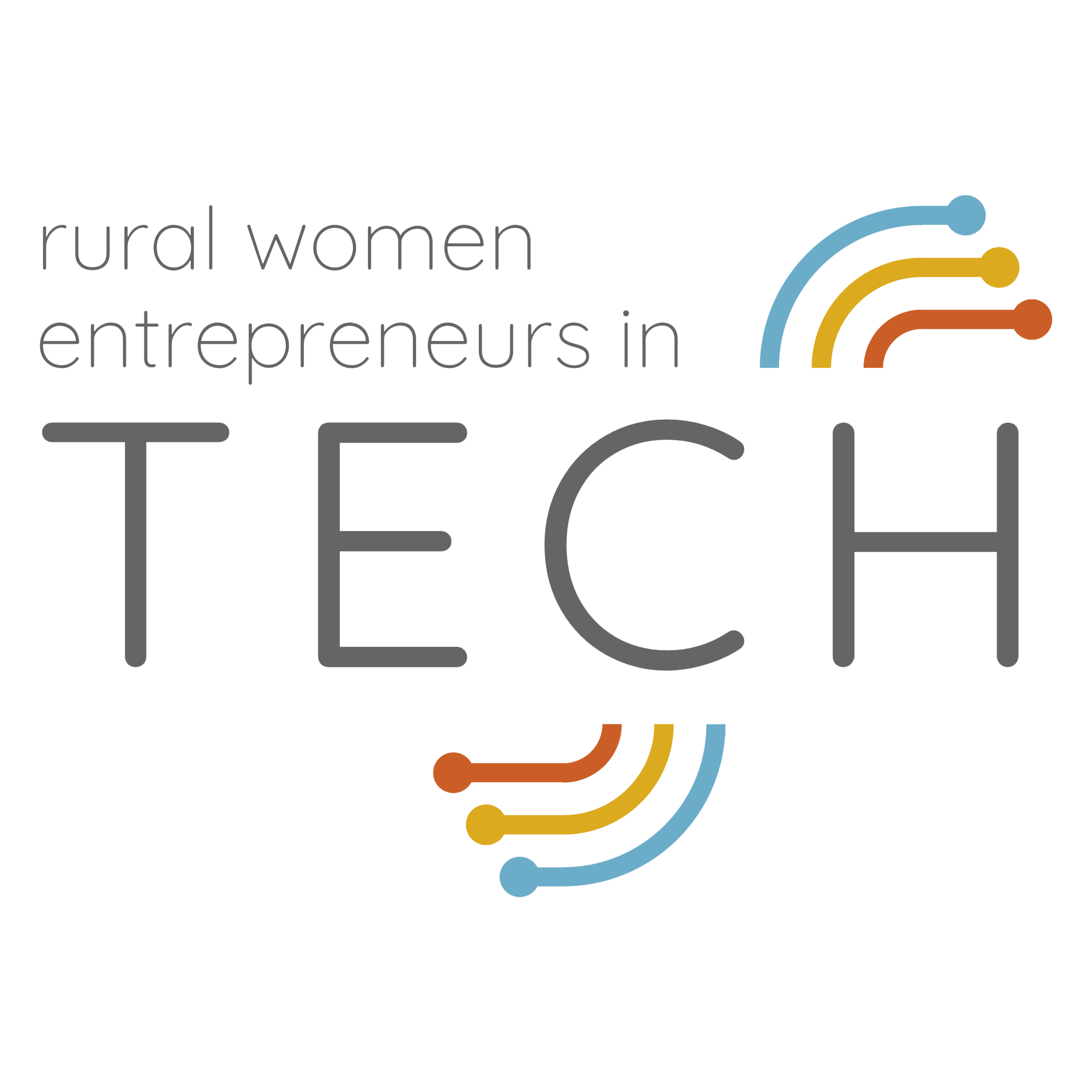 Rural Women Entrepreneurs in Technology